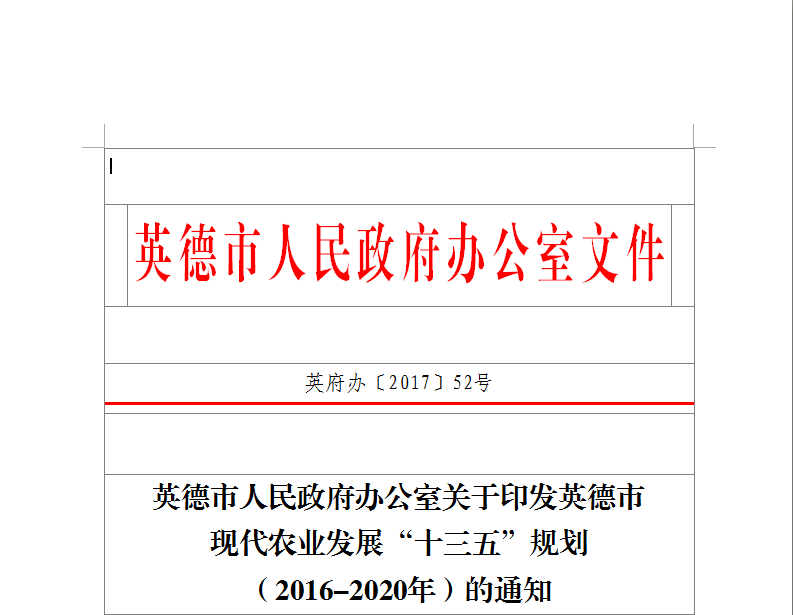 英德市科技局未来发展规划蓝图，引领科技发展的战略方向指南