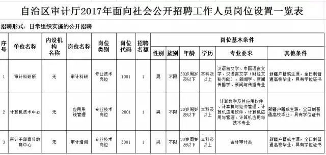 布尔津县审计局招聘信息与细节解析