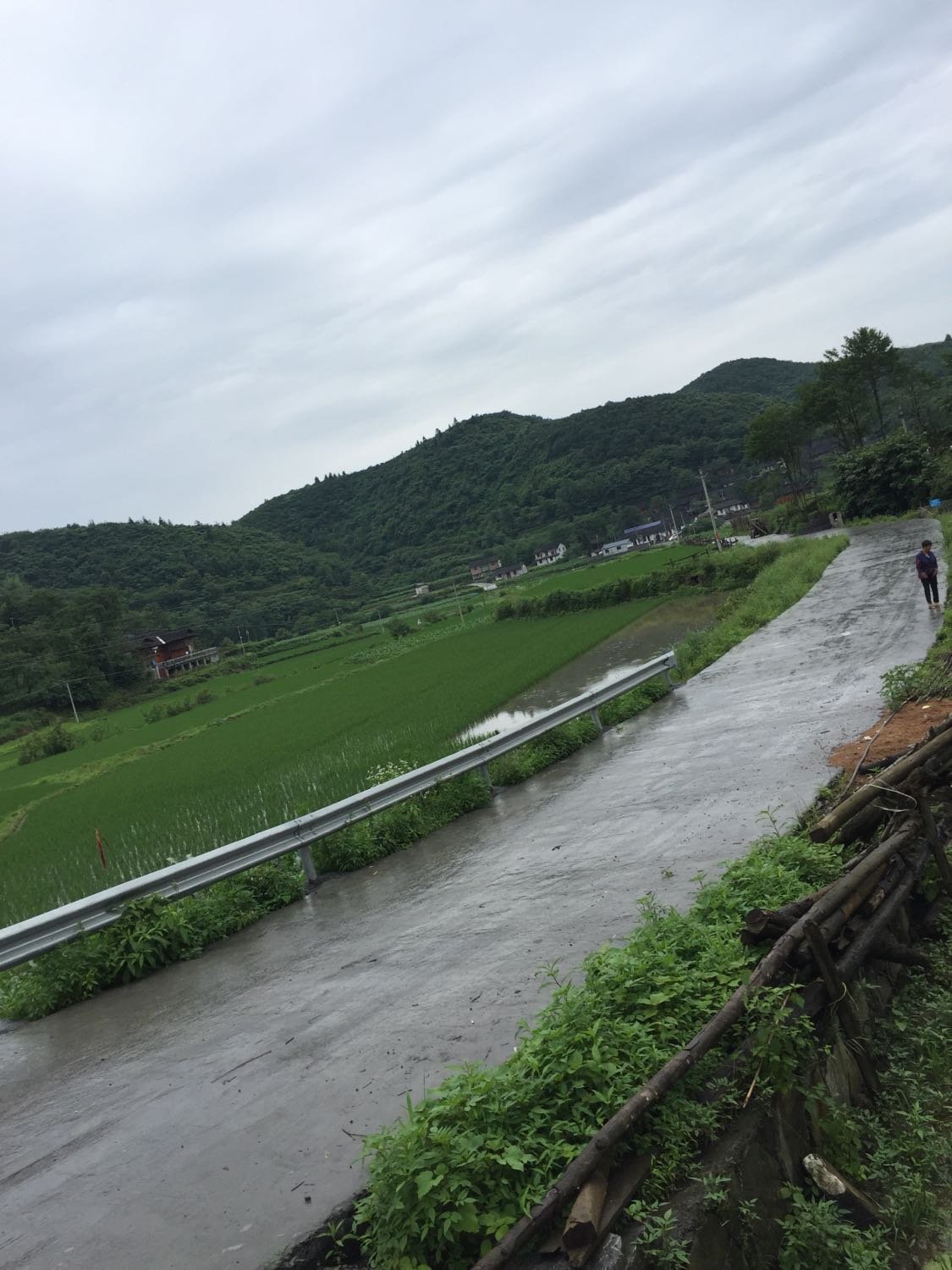 洪德街村委会天气预报更新通知