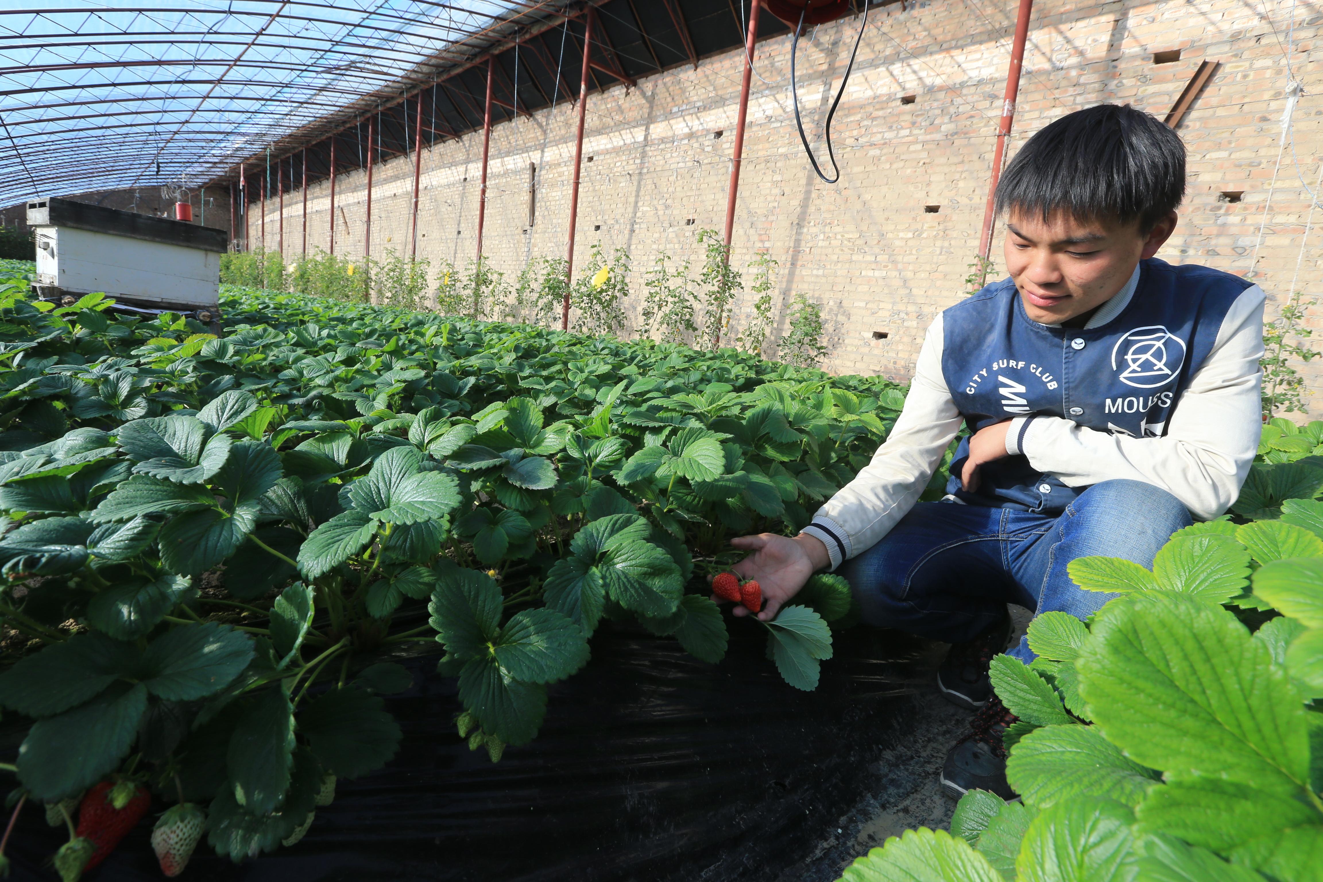 康坪乡新项目启动，乡村振兴新引擎