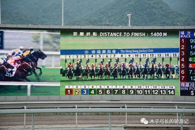 2024香港赛马全年免费资料,准确资料解释落实_体验版3.3