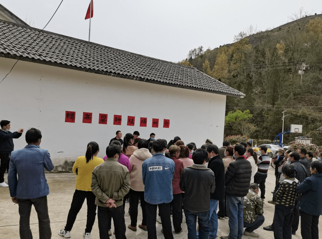 剪子岔村民委员会启动新项目，振兴乡村共筑美好未来