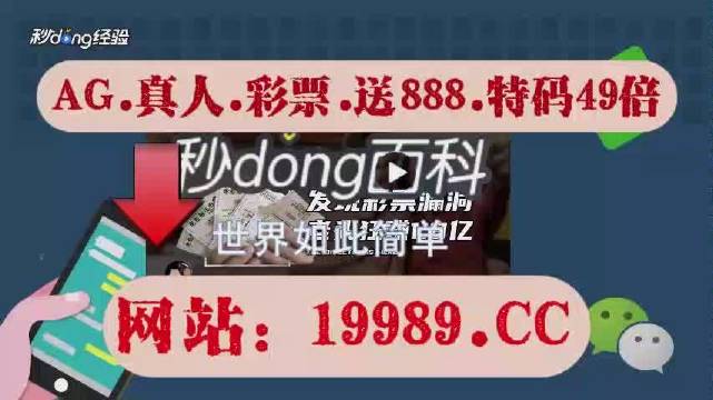 2024澳门天天开好彩免费大全,实地评估数据方案_Phablet79.114