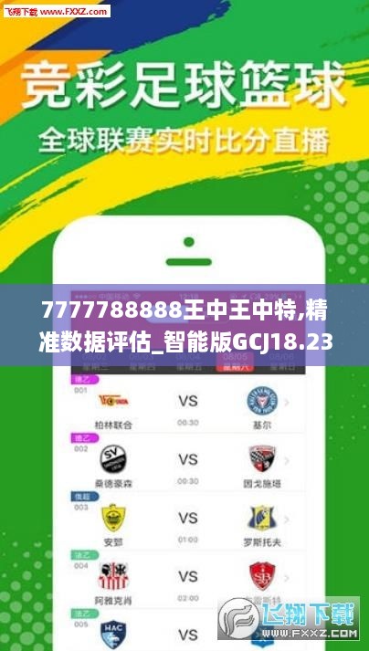 7777788888王中王中王特色功能,广泛的解释落实方法分析_试用版64.545