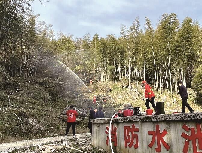 金紫山林场最新新闻动态报道