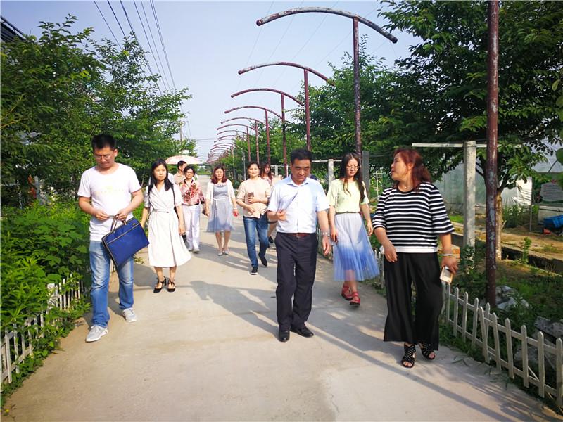 雨花台区统计局未来发展规划蓝图揭秘，迈向新阶段的战略规划