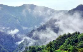 红砂村天气预报更新通知