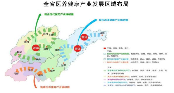 金乡县卫生健康局发展规划，构建健康金乡的战略蓝图