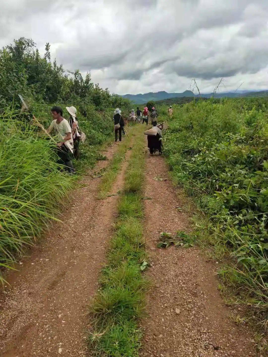 南岭乡最新发展规划，塑造乡村新貌，推动可持续发展进程