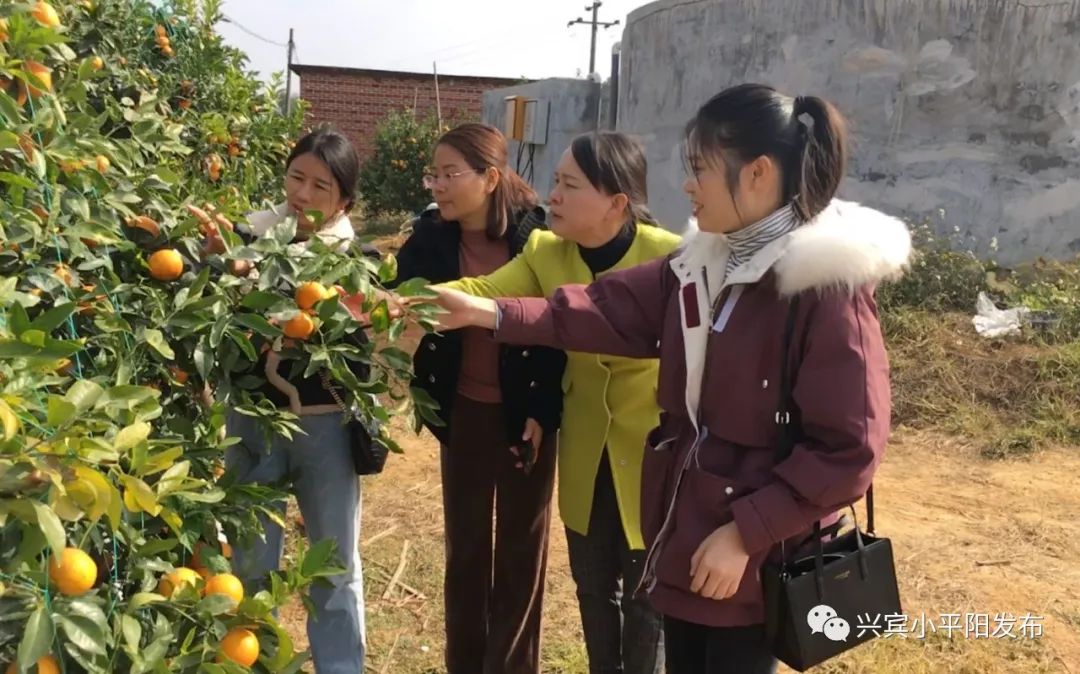 来宾市兴宾区科技局领导团队最新概况概述