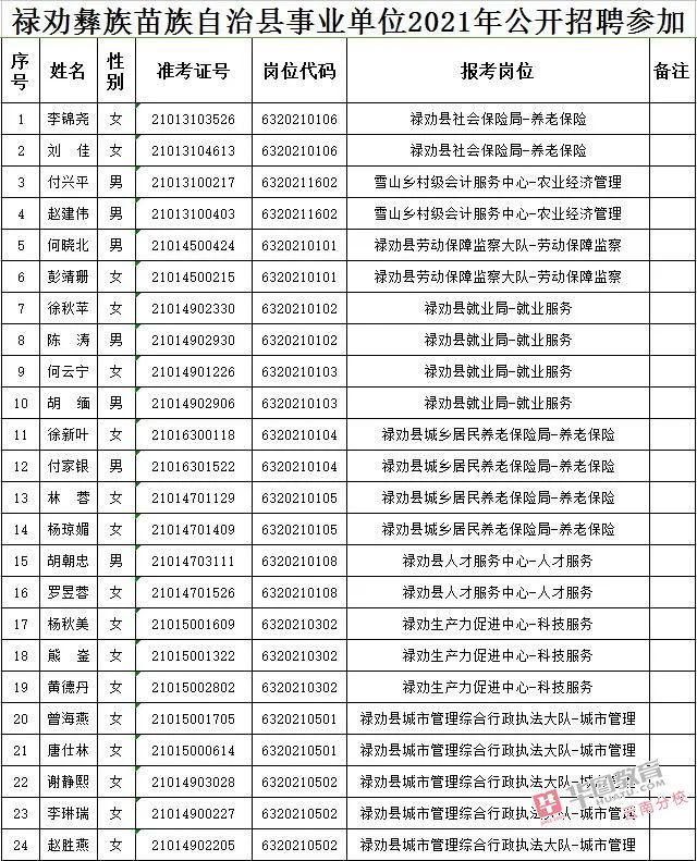 峨山彝族自治县民政局最新招聘公告概览