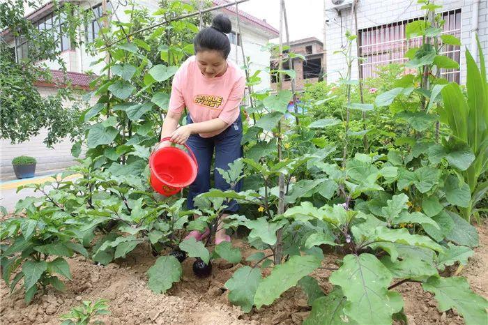 竹林镇最新招聘信息全面解析