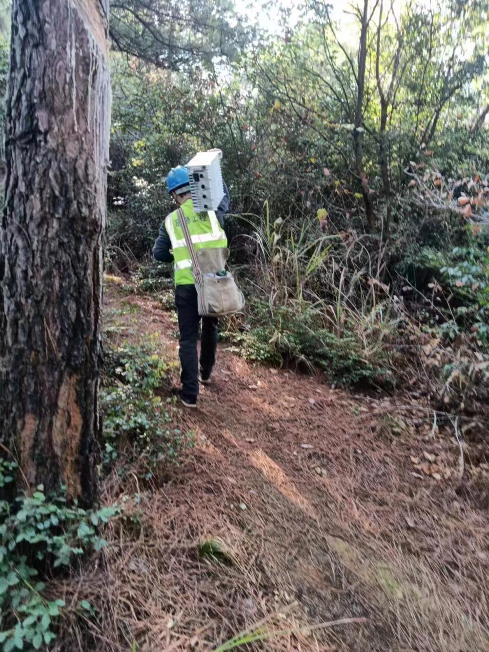 江永县公路运输管理事业单位招聘新公告解读