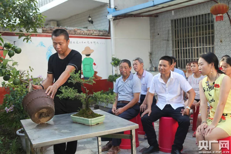 友邻乡最新新闻综述，全面解读当地时事动态