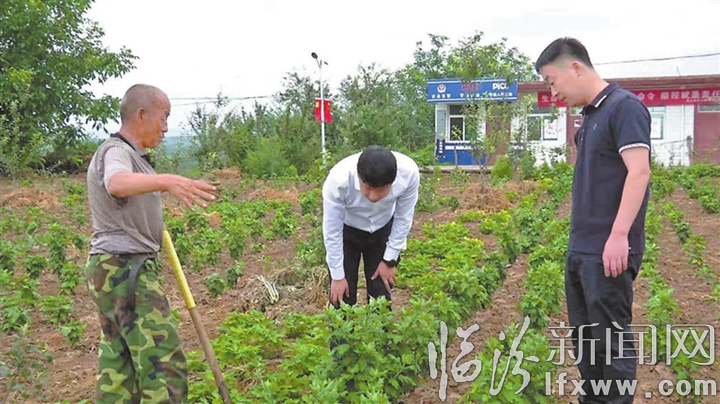 山西省临汾市吉县柏山寺乡领导团队，引领地方发展的核心力量新篇章