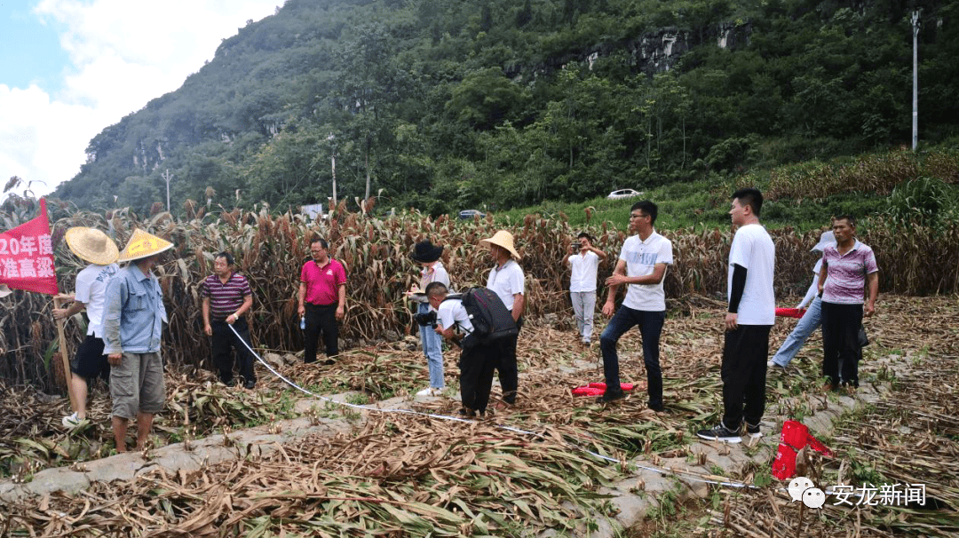 黑水县农业农村局新项目推动农业现代化，乡村振兴再添动力