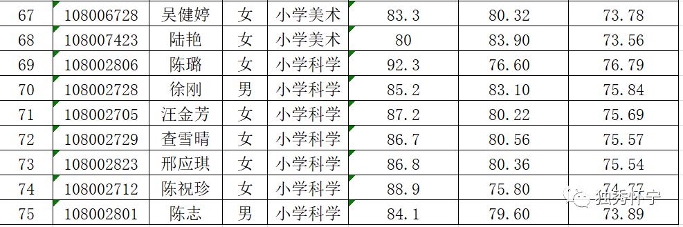 怀宁县人民政府办公室最新招聘公告解读