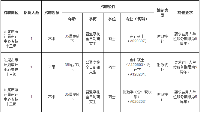 濠江区审计局最新招聘公告详解