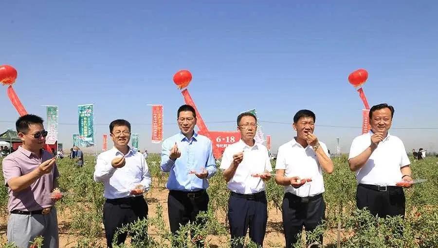 中宁县市场监管现代化项目助力地方经济高质量发展